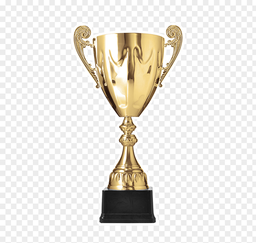 Air Force Awards Award Winners Decade Gold/Silver Metal Cup Trophy Stock Photography Or Decoration PNG