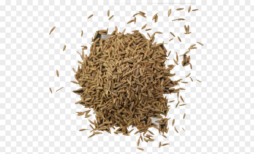 Dill Seed Food Fennel Spice PNG