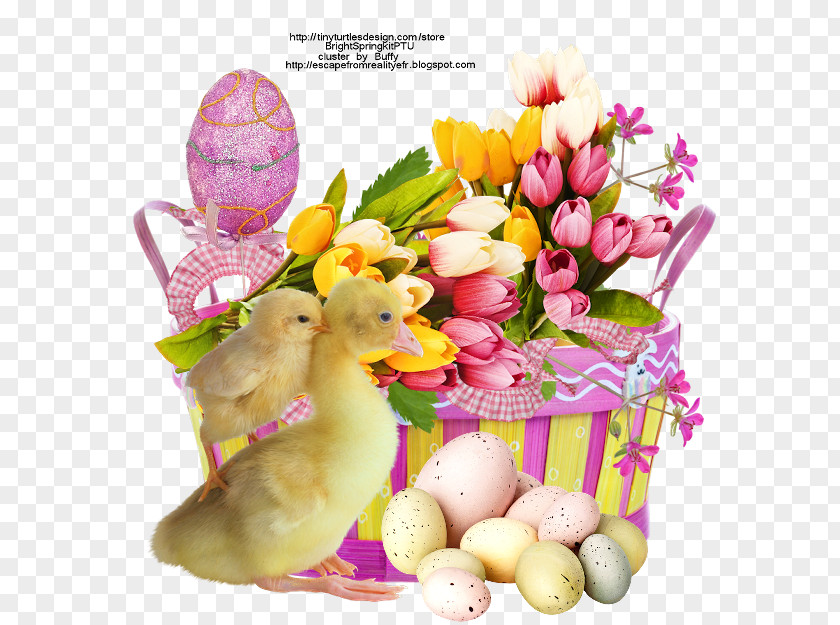 Easter Frame Bunny Login Email PNG