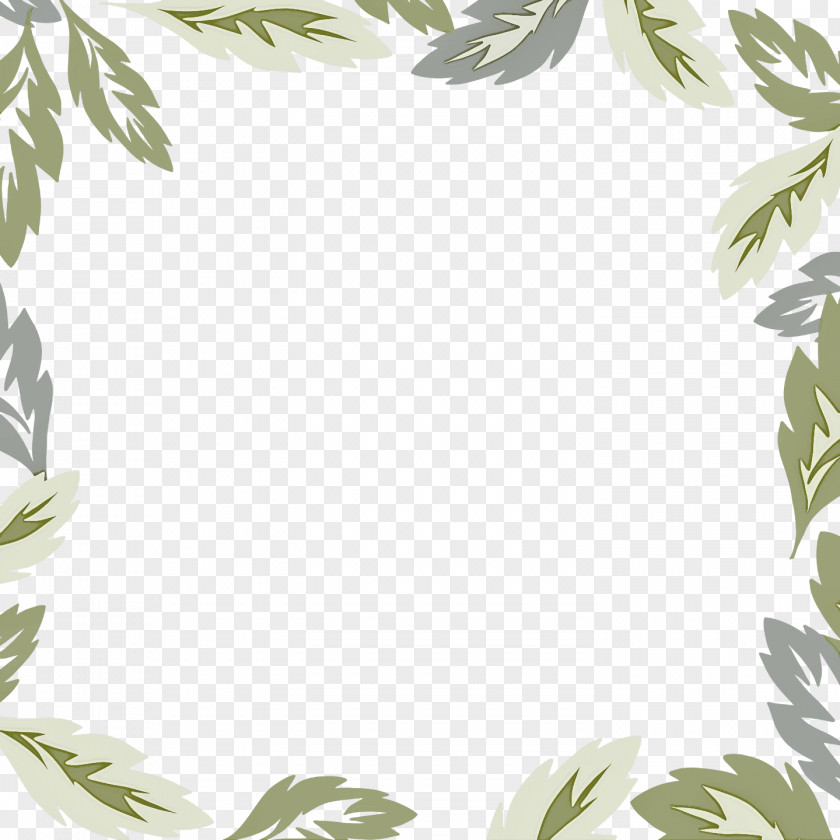 Picture Frame PNG