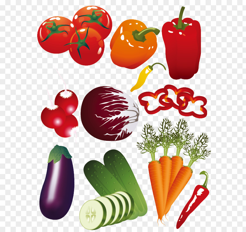 Vector Elements Fruits And Vegetables Vegetable Fruit Eggplant Bell Pepper PNG