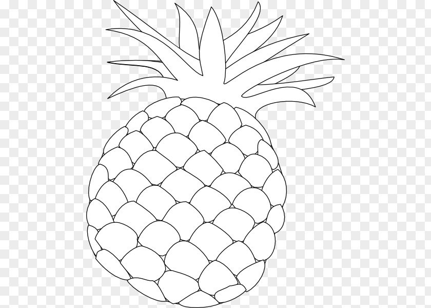 Hawaii Vector Pineapple Drawing Clip Art PNG