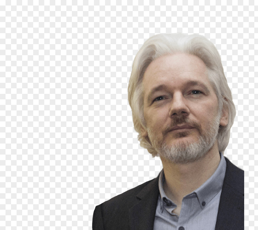 Julien 20 Julian Assange WikiLeaks Ecuador Internet Activism 2016 Democratic National Committee Email Leak PNG