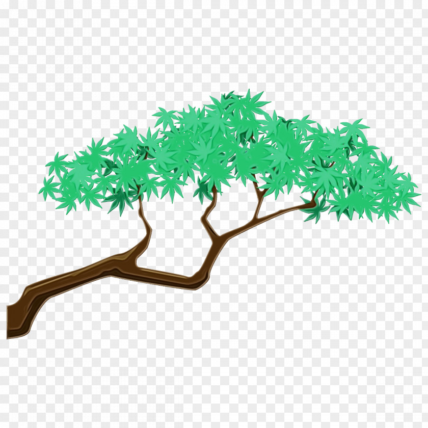 Plant Stem Grass Green Tree Branch Leaf PNG