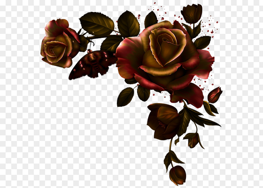 Rose Blue Flower Picture Frames Clip Art PNG