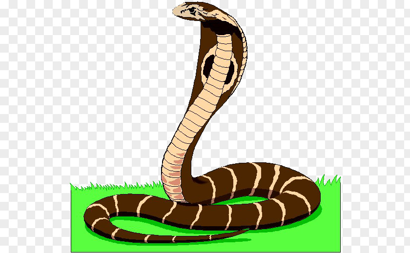 Snake Animated Film Clip Art PNG