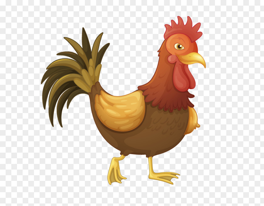 Chicken Vector Graphics Royalty-free Stock Photography Rooster PNG