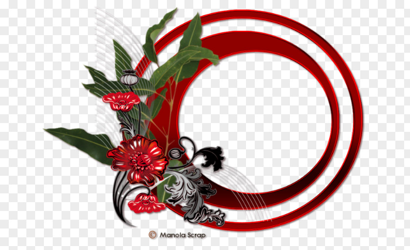 Cuca Ornament Vector Graphics Floral Design Photography Clip Art PNG