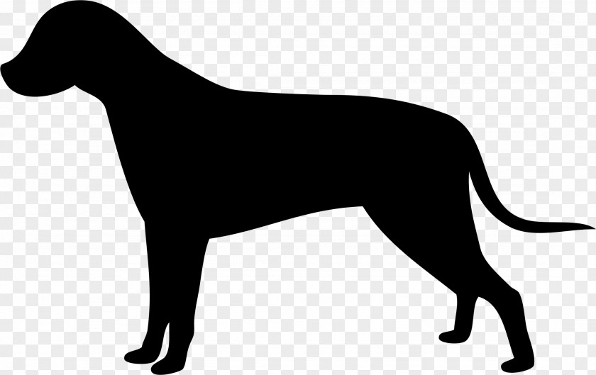 Labrador Retriever English Mastiff Clip Art Openclipart Vector Graphics PNG