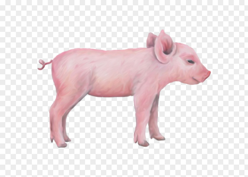 Pink Pig Miniature Wall Decal Sticker Farm PNG