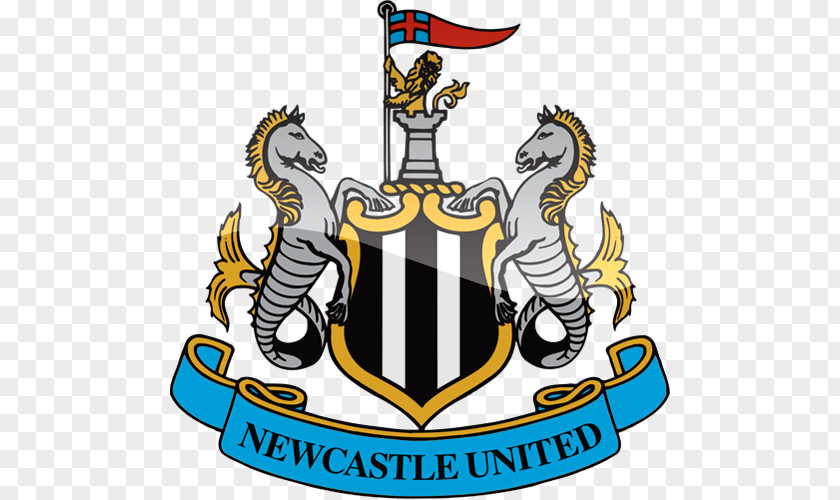 Premier League Newcastle United F.C. Upon Tyne FA Cup Brighton & Hove Albion PNG