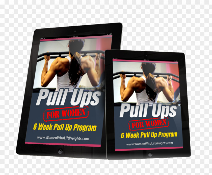 Pull Up Weight Training Pull-up Display Advertising Poster PNG