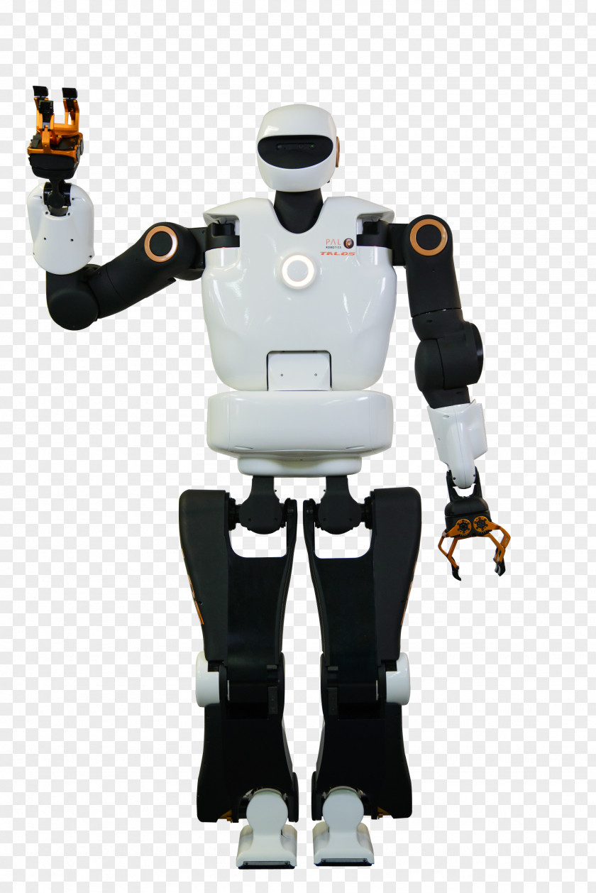 Robotics Pal REEM Humanoid Robot PNG