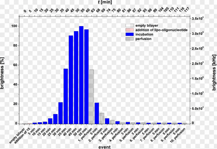 Screenshot Oligonucleotide Dodecameric Protein DNA Computer PNG