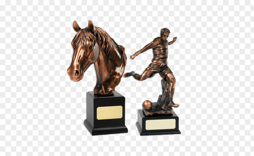 Horse Trophy Equestrian Award Stallion PNG
