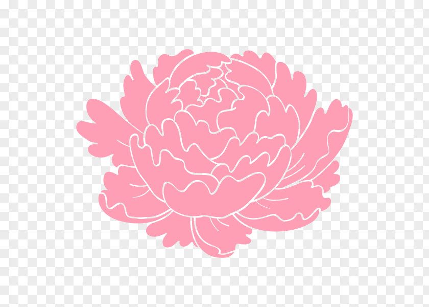 Peony Rose Family Floral Design PNG