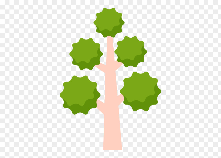 Photography Illustration Clip Art Tree Flat Rate PNG