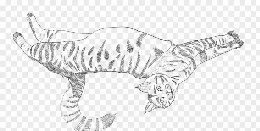 Tiger Cat Canidae Paw Sketch PNG