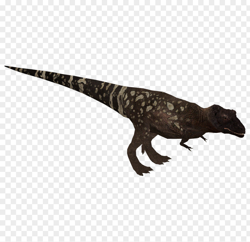 Tyrannosaurus Wiki Dinosaur Reptile Velociraptor PNG