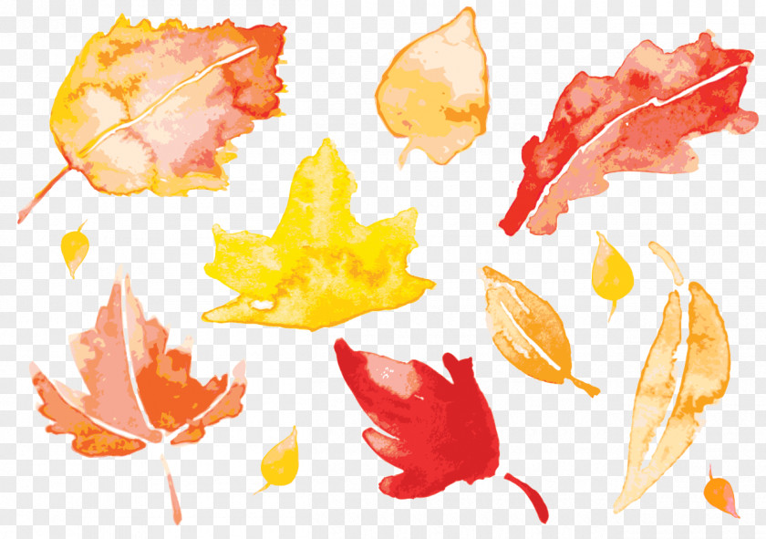 Vector Watercolor Leaves Autumn Painting Leaf PNG