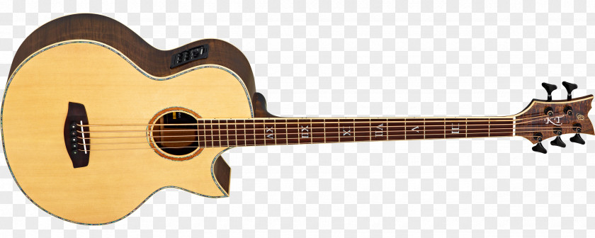 Amancio Ortega Acoustic Guitar Musical Instruments Bass String PNG