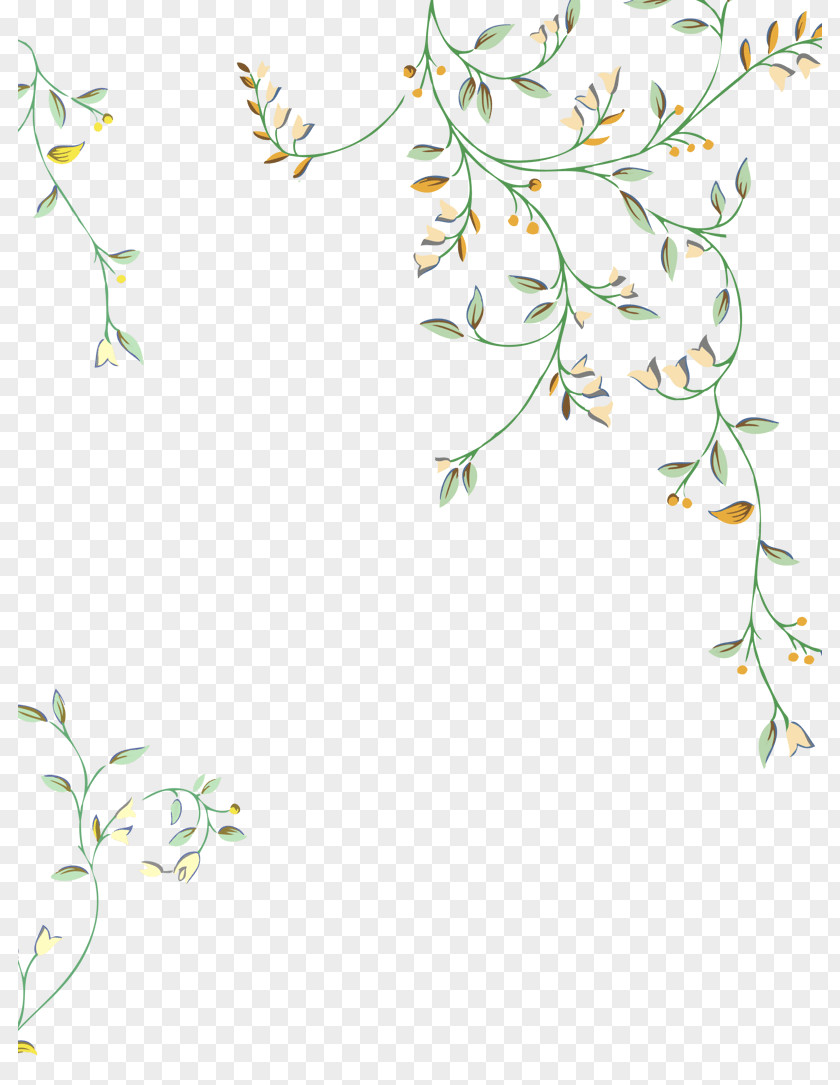 Flower Vines Image Design Green Drawing PNG