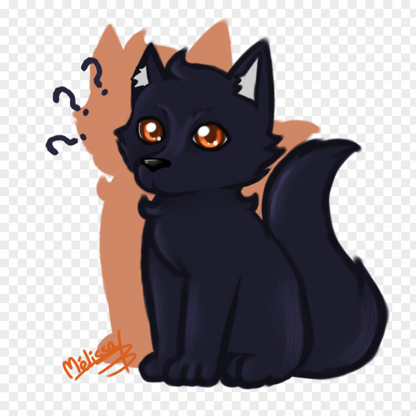 Kitten Black Cat Whiskers Domestic Short-haired PNG