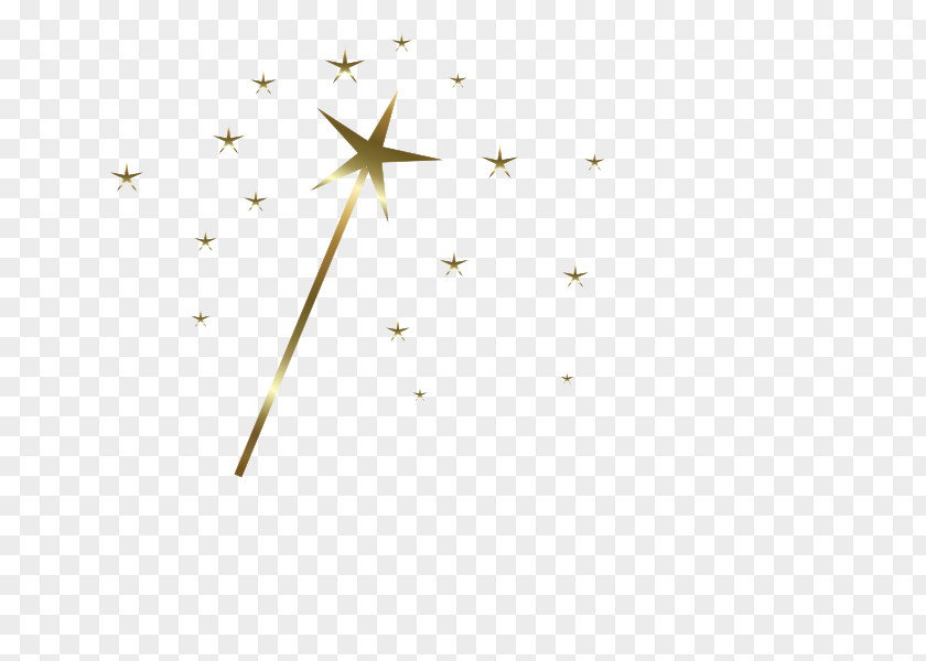Line Point Angle Star PNG