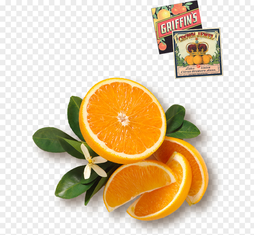Orange Grapefruit Blood Fruit Salad Juice PNG
