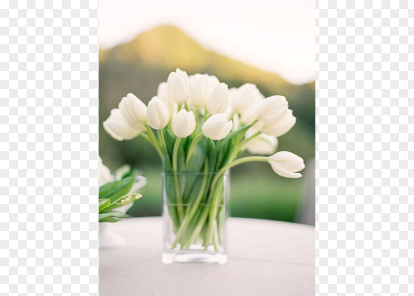 Tulip Enchanted Florist Centrepiece Tulips In A Vase Flower PNG