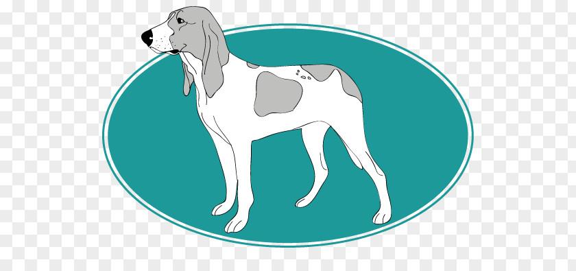 Petit Suisse Italian Greyhound Whippet Dog Breed Saluki PNG