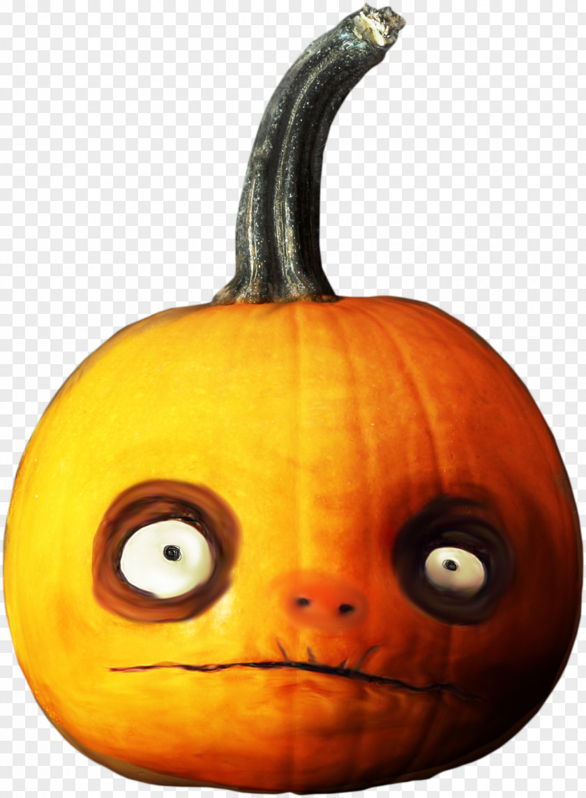 Pumpkin Cucurbita Jack-o'-lantern Gourd Winter Squash PNG
