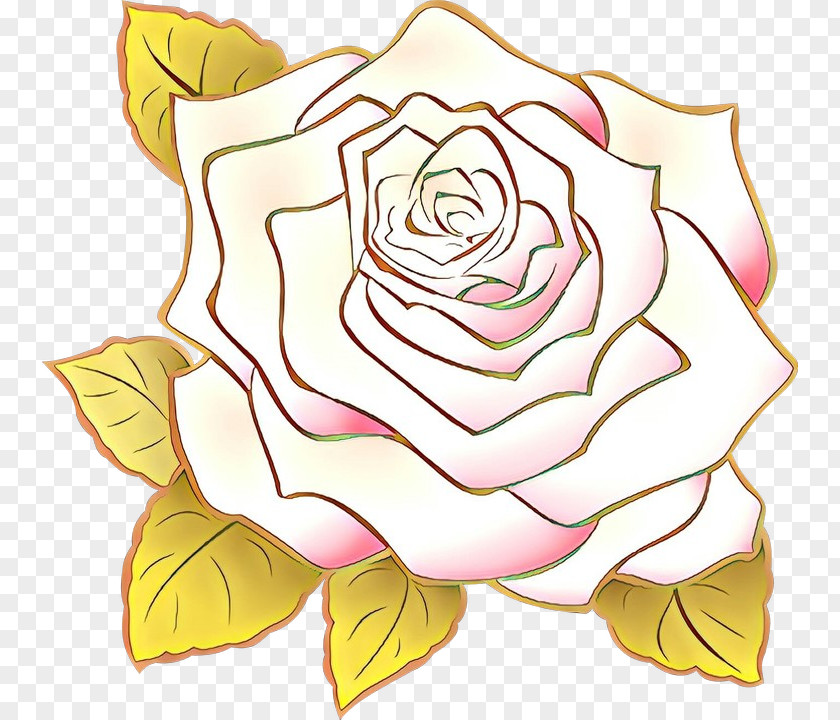 Rose Order Plant Floral Flower Background PNG