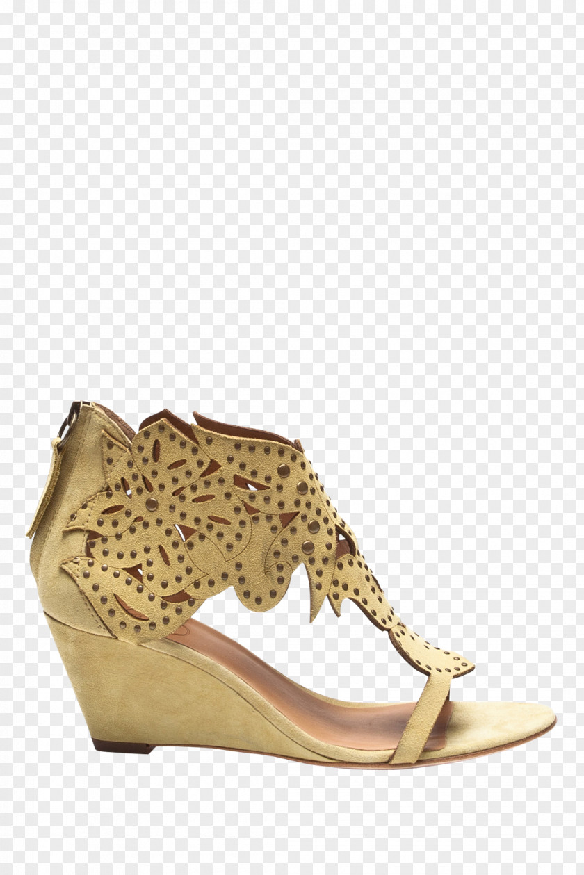 Sandal High-heeled Shoe PNG