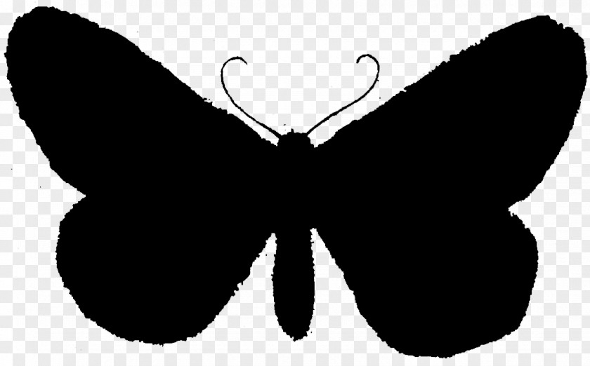 Butterfly Insect Silhouette Clip Art Image PNG