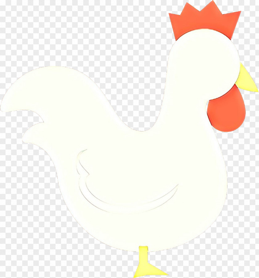 Chicken Bird Rooster Beak Livestock PNG