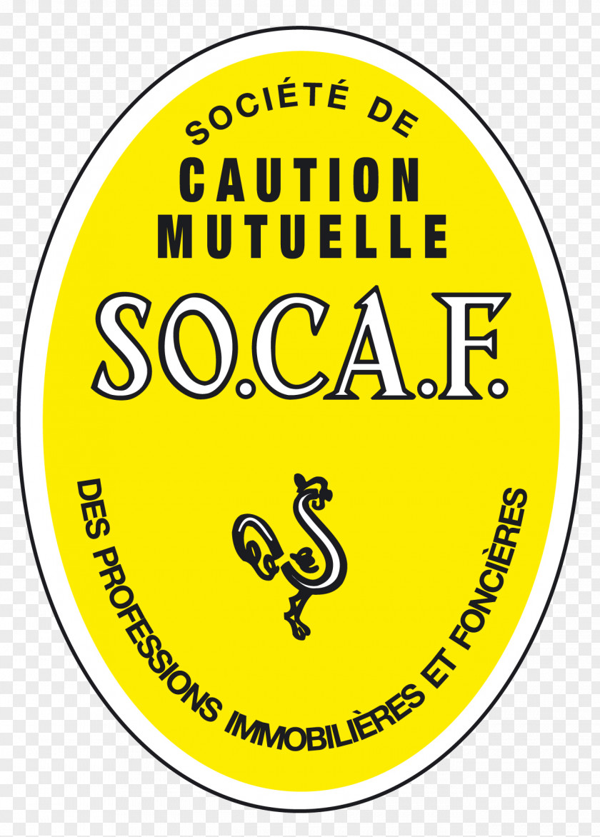 Immobilier Groupe Socaf Agence Immobilière Kbernardi Immo- Saint Denis-Ile De La Réunion Real Property Estate Agent PNG