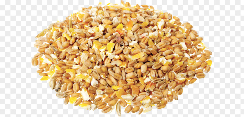 Oats Cereal Grain Organic Food Pasta PNG