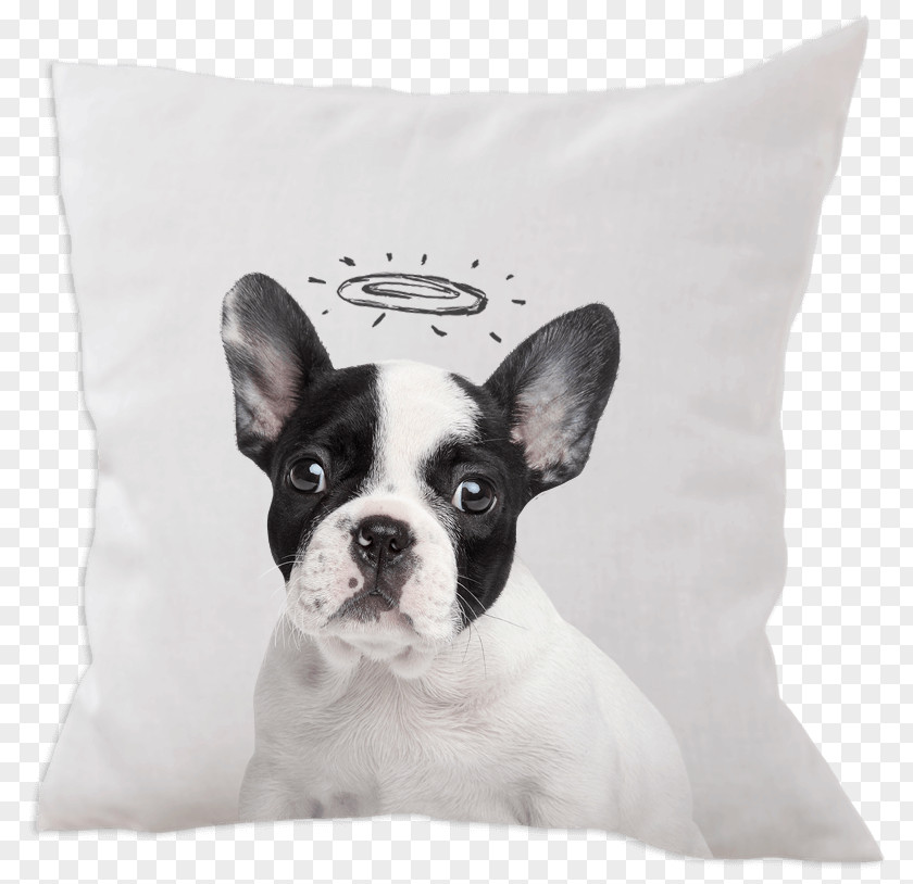 Puppy French Bulldog Toy Jack Russell Terrier Bull PNG