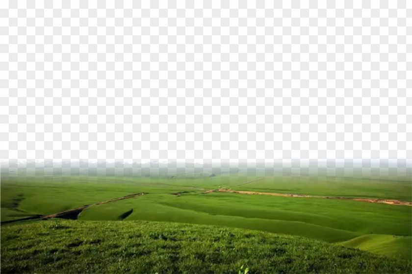 The Bottom Edge Of Prairie Background Lawn Rural Area Land Lot Ecoregion Wallpaper PNG