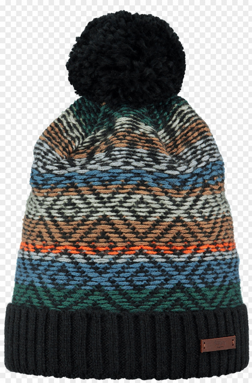 Beanie Barts Halny Green Color Knit Cap PNG