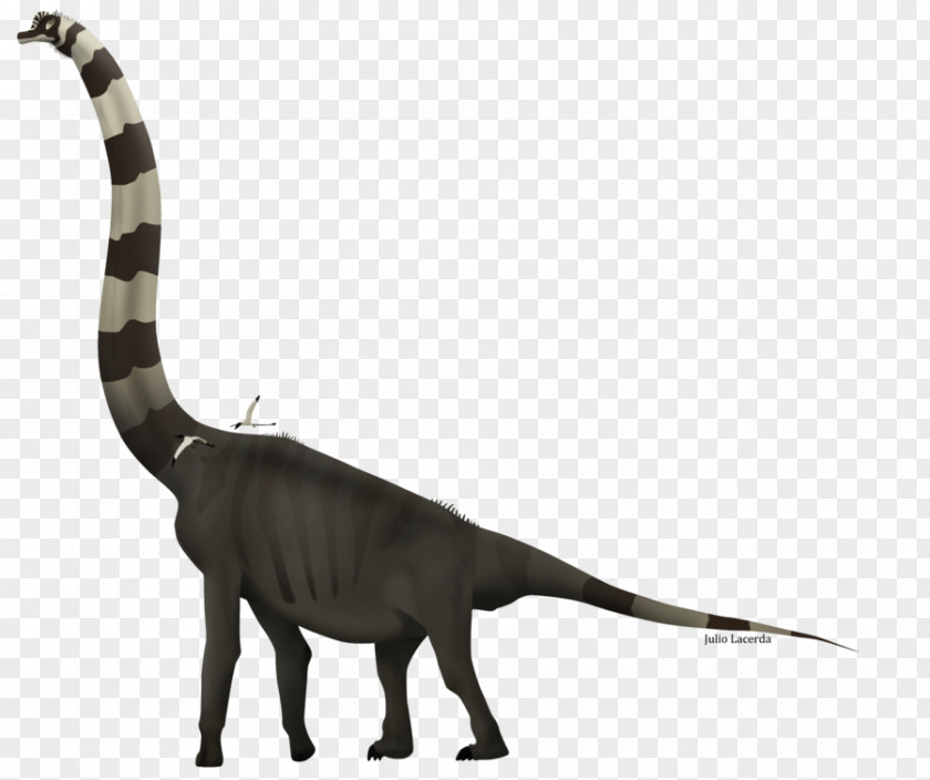 Dinosaur Giraffatitan Velociraptor Sauroposeidon Venenosaurus Brachiosaurus PNG