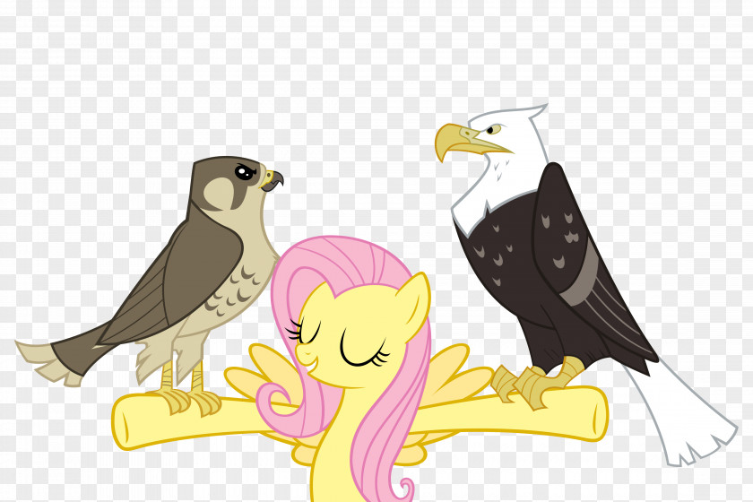 My Little Pony Fluttershy Rarity Pinkie Pie Sunset Shimmer PNG