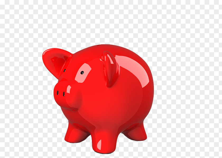 Savings Bank Piggy Bolzano PNG