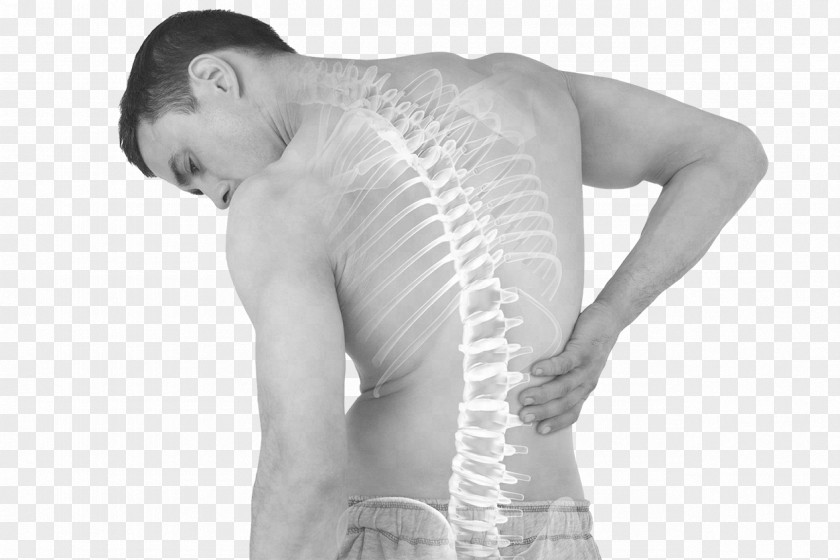 Back Pain Human Abdominal Low Middle Disease PNG