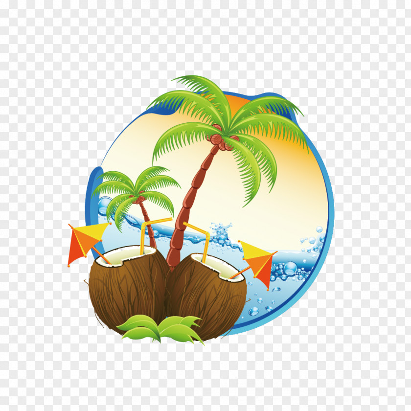 Coconut And Milk Cocktail Water Arecaceae PNG