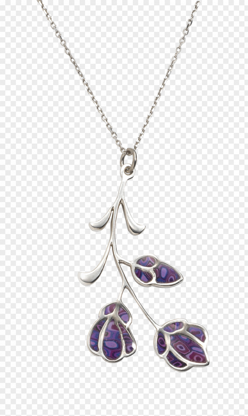 Necklace Charms & Pendants Gold Jewellery Chain PNG