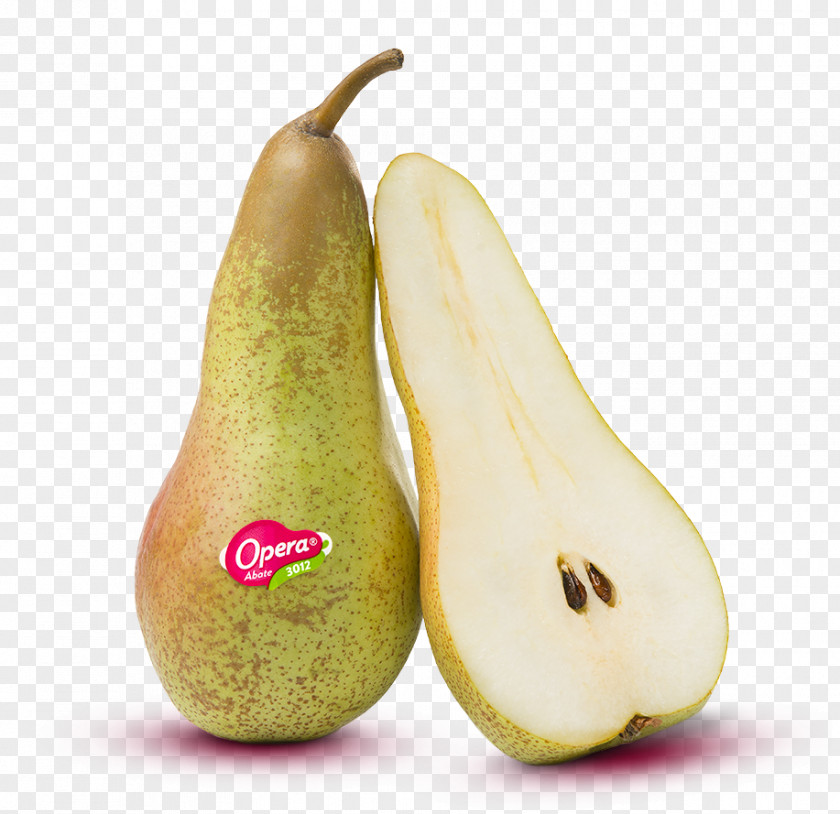 Pear Conference Abate Fetel Fruit Abbot PNG