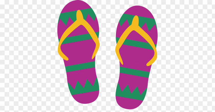 Shoe Slipper T-shirt Flip-flops Sandal PNG