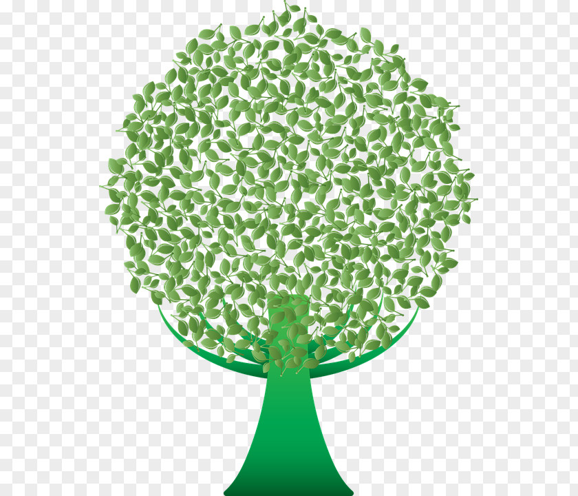 Tree Green Clip Art Desktop Wallpaper PNG